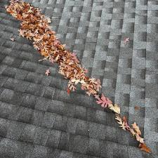 Gutter cleaning and leaf guard installation in manahawkin nj 003