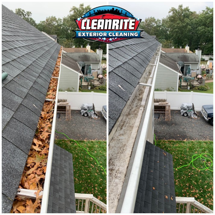 Gutter cleaning manahawkin